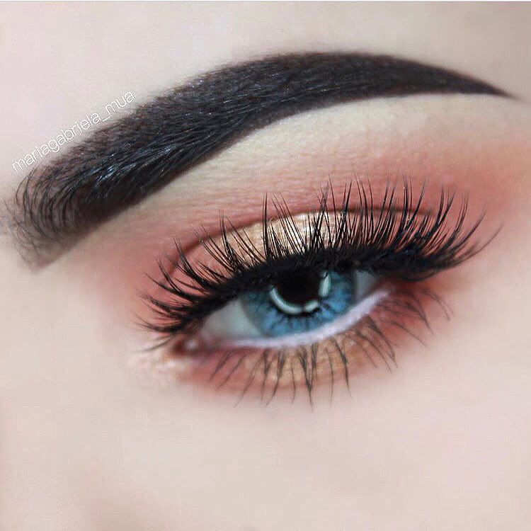 Pro Series Blue - M701